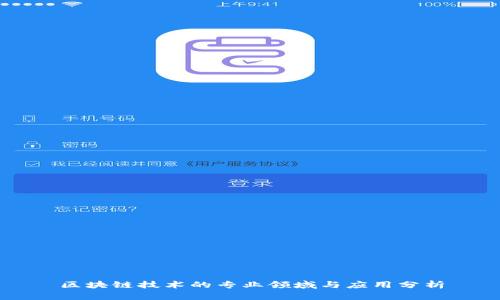 区块链技术的专业领域与应用分析